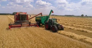 Fermierii cer reguli mai stricte pentru cerealele din import. Ce propun autorităților
