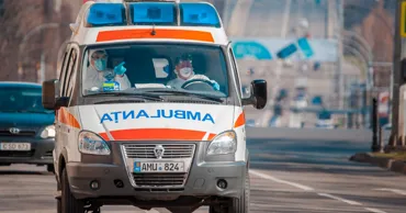 В Молдове за неделю десятки человек обратились к врачу после укусов насекомых