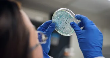 NASA ar fi putut transporta accidental bacterii terestre pe Marte
