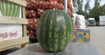 На рынках появились в продаже арбузы.