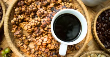 Biologii au dezvăluit secretul gustului celei mai scumpe cafele din lume, Kopi Luwak