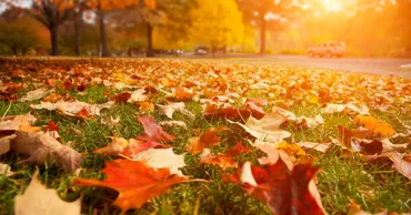 Meteo 11 septembrie: Cer variabil în cea mai mare parte a țării și maxime de +31°C