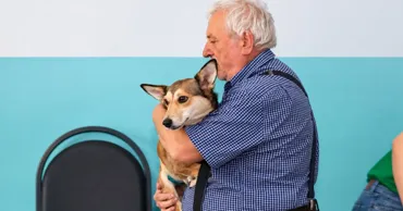 De la gospodării, în stradă: Cum poate fi redus numărul animalelor fără stăpân