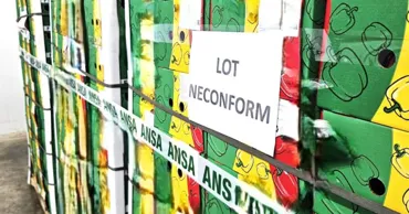 Более девяти тонн импортного перца не допустили на рынок Молдовы из-за пестицидов