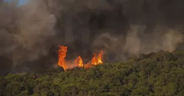 Incendiu în Germania: Muniția din Al Doilea Război Mondial îngreunează intervenția