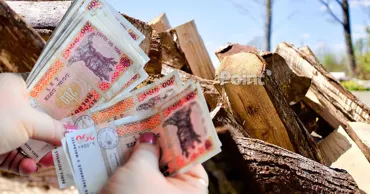 Хаждер объяснил, почему дрова обходятся людям дороже официального тарифа
