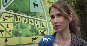 Сотрудники рассказали, как развивается Кишиневский зоопарк, какие животные в нем появились.