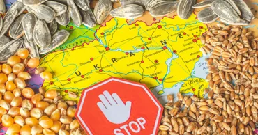 Молдавские фермеры требуют вернуть лицензирование импорта зерна из Украины