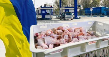 Expert ucrainean: Moldova împiedică intenționat exportul de carne de pasăre din Ucraina încă din 2022