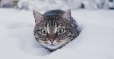 К Молдове приближаются аномальные морозы