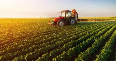TVA mai mare pentru HoReCa din 2027. Cota crește de la 8% la 12%