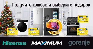 Maximum: Выбирай свой подарок - новогодняя акция Gorenje и Hisense Ⓟ