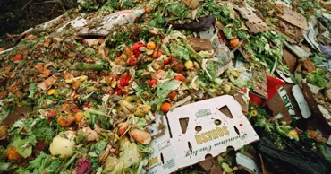 Молдова ежегодно выбрасывает около 180 тысяч тонн продуктов