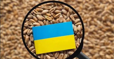 Транзит украинского зерна через Молдову обеспокоил румынских фермеров