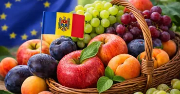 Fructele moldovenești, tot mai solicitate pe piața Uniunii Europene