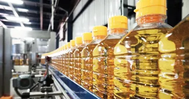 Экспорт подсолнечного масла из Молдовы вырос в восемь раз