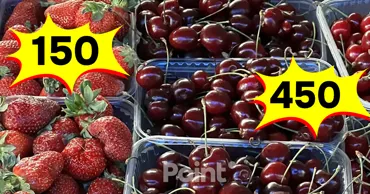 La Piața Centrală din Chișinău, un kilogram de căpșuni moldovenești costă 120 de lei, iar cireșele grecești - 450 de lei