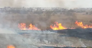 Incendiu de amploare la Pervomaisc: Zeci de hectare au ars din cauza unei țigări