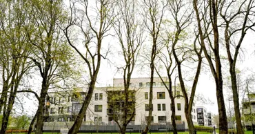 Studiu: Zona în care locuim poate influența riscul îmbolnăvirii de demență