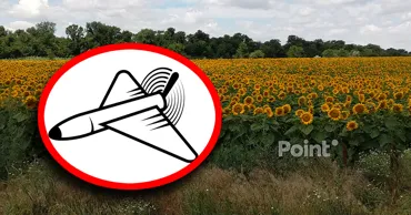 Полиция сообщила о падении дрона в Рышканском районе