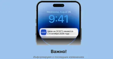 Omnis: Цены на ОСАГО и Зеленую Карту меняются с октября 2026 года Ⓟ