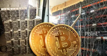В Румынии накрыли подпольную криптоферму: электроэнергии сожгли на 7 млн леев