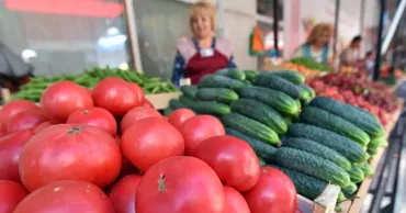 Россия запретила ввоз томатов, огурцов и клубники из Армении