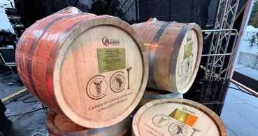 Nouă vinuri de casă, desemnate câștigătoare la „Polobocul de Aur”