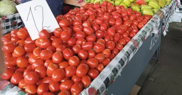 Roșiile de import domină piața din R. Moldova. Agricultorii autohtoni, în impas