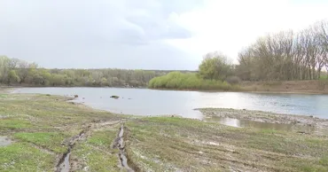 Экологи требуют от властей срочных мер из-за обмеления Днестра