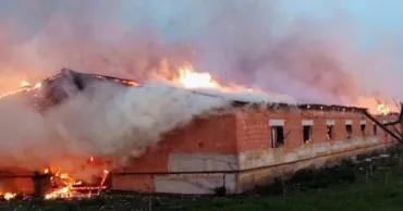 O fermă din regiunea Sumî, atacată de drone: Sute de animale au murit