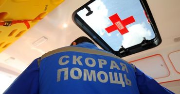 В Дубоссарах выбежавшее на дорогу животное стало причиной ДТП.