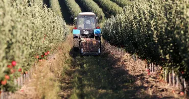 Кредиты аграриям по проектам IFAD станут дешевле