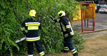 Непогода в Молдове: спасатели ГИЧС расчищали дороги и убирали поваленные деревья