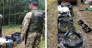 В Чернобыльской зоне собирали чернику на продажу.