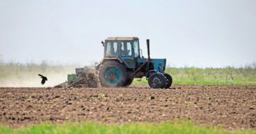 Эксперт: Засушливое лето и тёплая зима могут навредить фермерам Молдовы