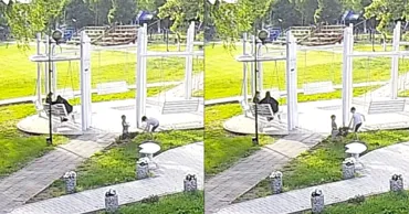 В парке села Скулень ребёнок сломал сакуру: мэрия просит родителей откликнуться