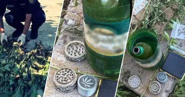 Percheziții la Rezina: Cânepă, mac și muniții, descoperite de polițiști