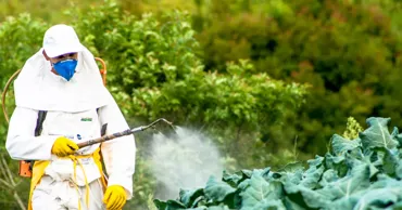 ANSA îndeamnă producătorii agricoli să înregistreze neapărat produsele fitosanitare