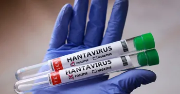 ANSP avertizează locuitorii Moldovei despre riscurile infectării cu Hantavirus