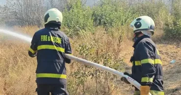 Incendiu de vegetație în Bulgaria: Circa o mie de hectare, transformate în scrum