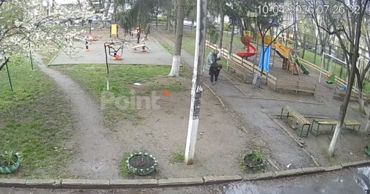 Жители Рышкановки обеспокоены нападением собаки на ребенка: Он был очень напуган