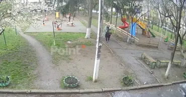 Vecinii, îngrijorați de cazul atacului unei haite de câini asupra unui copil: Era foarte speriat