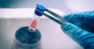 PSRM propune introducerea voucherelor de stat pentru fertilizare in vitro