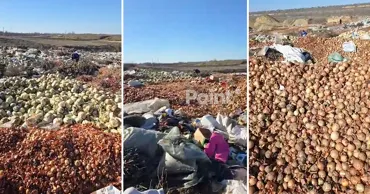 Tone de legume aruncate la Gura Bîcului. Reacția Ministerului Agriculturii