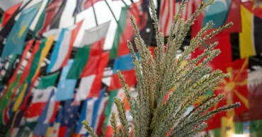 Молдова расширяет сотрудничество с FAO в сфере цифрового сельского хозяйства