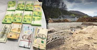 В Украине ликвидировали канал незаконного вывоза древесины в Молдову