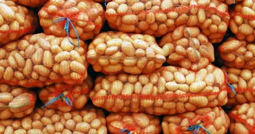 Economist: După trei ani de scădere, exporturile agricole ale Moldovei își revin