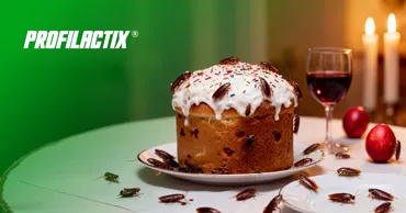 Profilactix: Подготовка к Пасхе - ошибка, которая может испортить праздничный стол Ⓟ