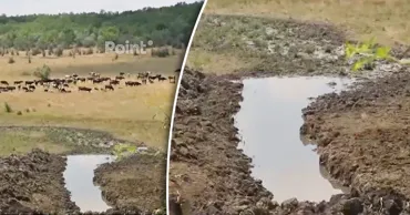 В селе Волинтирь из-за засухи пересохли водоемы: животноводы с трудом справляются